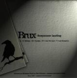 Brux - Suspicious Landing (EP)