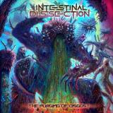 Intestinal Dissection - The Purging Of Disgust