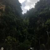 Western Jianghu Project - Discography (2025 - 2026) Western Jianghu Project - Discography (2025 - 2026)