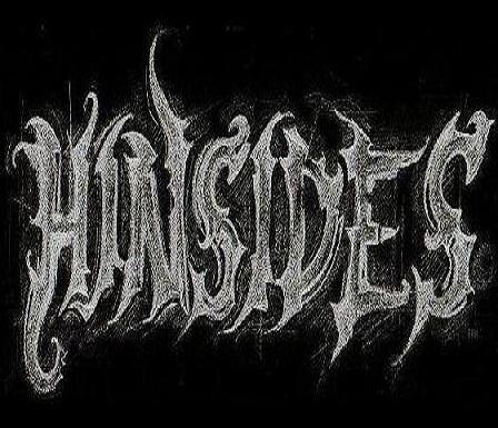 Hinsides - Discography (2008 - 2010)