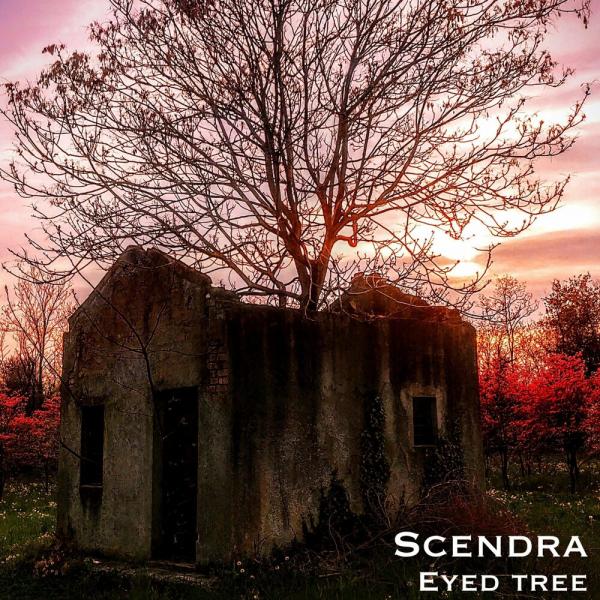 Scendra - Eyed Tree