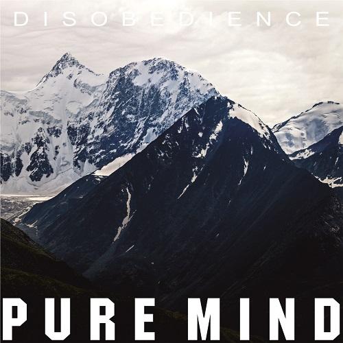 Pure Mind - Discography (2014 - 2019)