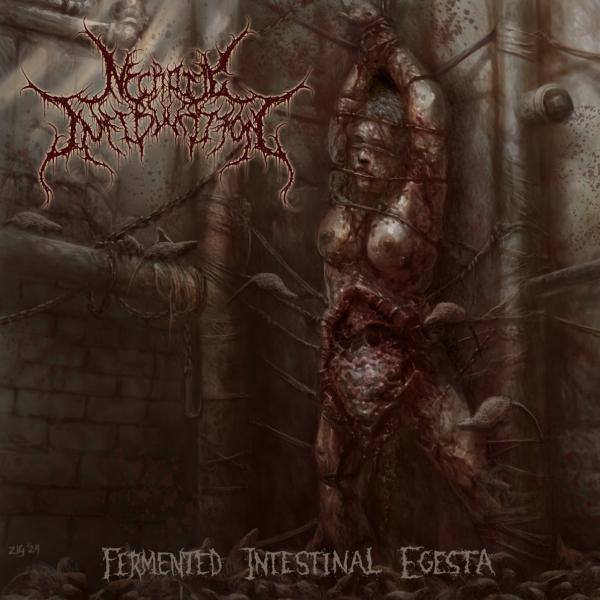 Necrotic Infibulation - Fermented Intestinal Egesta