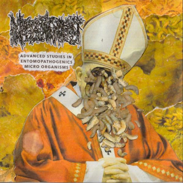 Maggot Priest - Advanced Studies In Entomopathogenics Micro Organisms (Compilation) (Lossless)