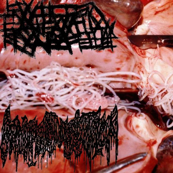 Swollen Gargantuan Fecal Fetus &amp; Coprophilic Dissection - Swollen Gargantuan Fecal Fetus &amp; Coprophilic Dissection (Split) (Lossless)