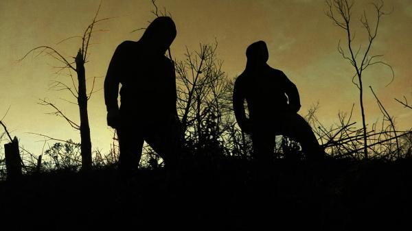 Everto Signum - Discography (2012 - 2024)