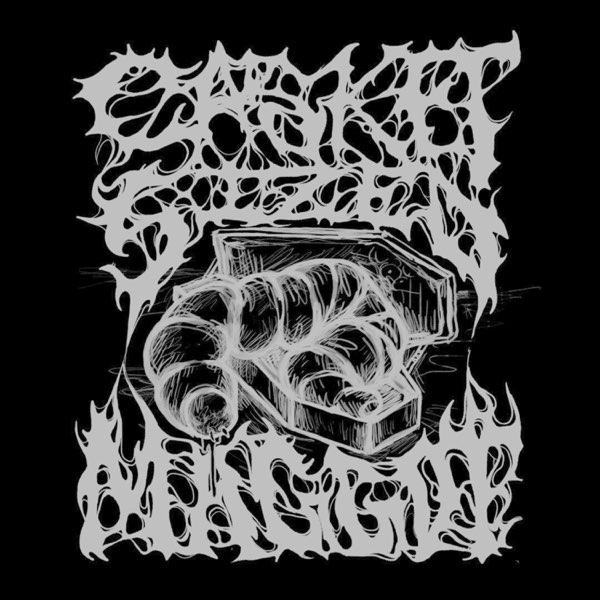 Casket Sized Maggot - Discography (2022 - 2024) (Lossless)