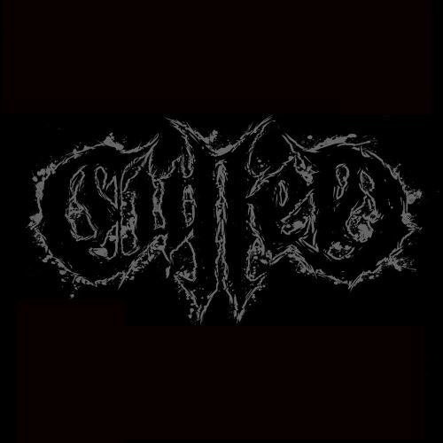 Culled - Discography (2018 - 2024)