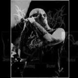 Ammanas - Discography (2019 - 2026) Ammanas - Discography (2019 - 2026)