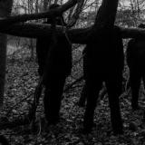 Profeci - Discography (2020 - 2026) Profeci - Discography (2020 - 2026)