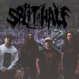 Split In Half - Discography (2023 - 2026) Split In Half - Discography (2023 - 2026)