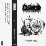 Cusshead - Promo 2024 (Demo)