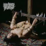 Decibel Rebels - Unholy Rites of Perversions (EP)