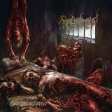 Faecalized - Esophageal Pseudoregurgitation (EP) (Lossless)