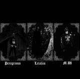 Hjemsøkt - Discography (2023 - 2024)