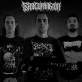 Sarcophagum - Discography (2022 - 2024) (Lossless)