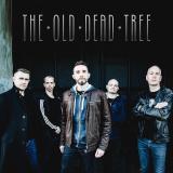 The Old Dead Tree - Discography (1999 - 2024) (Lossless)