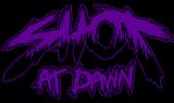 Shot at Dawn - Discography (2008-2012)