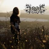 Desolate Solitude - Discography (2023 - 2024) (Lossless)