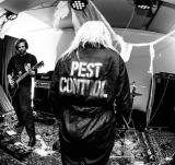 Pest Control - Discography (2020 - 2024) (Lossless)