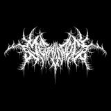 Megalodón - Discography (2024 - 2026) Megalodón - Discography (2024 - 2026)