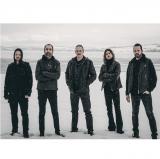 Miserate - Discography (2024 - 2025) Miserate - Discography (2024 - 2025)