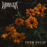 Warflex - From Decay Warflex - From Decay