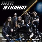 Nite Stinger - What The Nite Is All About (Lossless) Nite Stinger - What The Nite Is All About (Lossless)