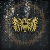 Vile Firmament - Vile Firmament (EP) Vile Firmament - Vile Firmament (EP)
