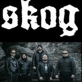 Skog - Discography (2024 - 2026) Skog - Discography (2024 - 2026)