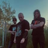 Paratomb - Discography (2023 - 2026) Paratomb - Discography (2023 - 2026)