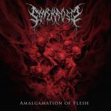 Synekrosis - Amalgamation of Flesh Synekrosis - Amalgamation of Flesh