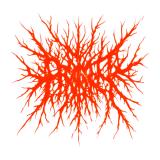 The Primer - Discography (2022 - 2026) The Primer - Discography (2022 - 2026)