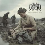 Virtue Of Decay - The Insignificance of Despair Virtue Of Decay - The Insignificance of Despair