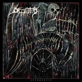 Occulsed - Antegnosis (Lossless) Occulsed - Antegnosis (Lossless)