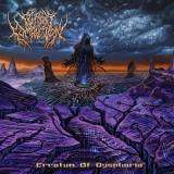 Delirious Compulsion - Erratum Of Dysphoria Delirious Compulsion - Erratum Of Dysphoria