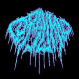 Corpsumed - Discography (2025 - 2026) Corpsumed - Discography (2025 - 2026)