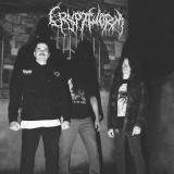 Cryptworm - Discography (2017 - 2026) Cryptworm - Discography (2017 - 2026)
