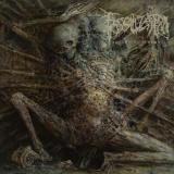 Fossilization - Advent Of Wounds (Lossless) Fossilization - Advent Of Wounds (Lossless)