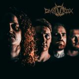 Omnivortex - Discography (2020 - 2026) (Lossless) Omnivortex - Discography (2020 - 2026) (Lossless)