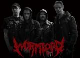 Wormlord - Discography (2023 - 2026) (Upconvert) Wormlord - Discography (2023 - 2026) (Upconvert)
