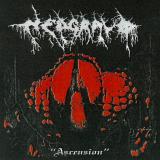 Nedgravd - Ascension (Upconvert) Nedgravd - Ascension (Upconvert)