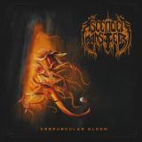 Ascended Master - Crepuscular Gloom (Lossless) Ascended Master - Crepuscular Gloom (Lossless)