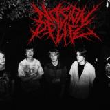 No Sign Of Life - Discography (2025 - 2026) No Sign Of Life - Discography (2025 - 2026)