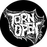 Torn Open - Discography (2025 - 2026) Torn Open - Discography (2025 - 2026)