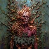 Cordyceptomy - Cordyceptomy Cordyceptomy - Cordyceptomy