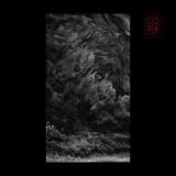 Aeger Anima - The Falling Leaves (EP) Aeger Anima - The Falling Leaves (EP)