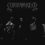 Suicide Forest - Discography (2016 - 2026) Suicide Forest - Discography (2016 - 2026)