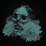 Soft Curse - Liminal Ritual (Upconvert) Soft Curse - Liminal Ritual (Upconvert)