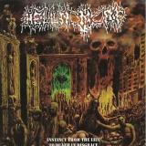 Hellnomorf - Instinct from the Life to Death in Disgrace Hellnomorf - Instinct from the Life to Death in Disgrace
